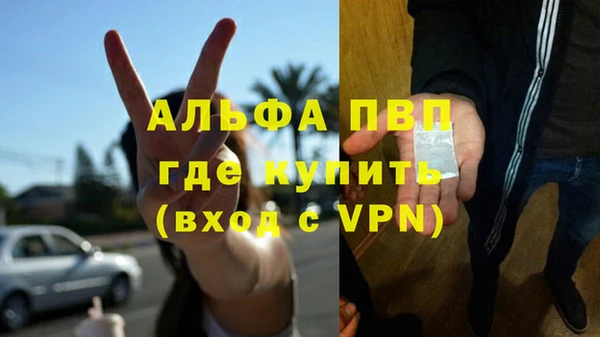 эйфоретик Аркадак