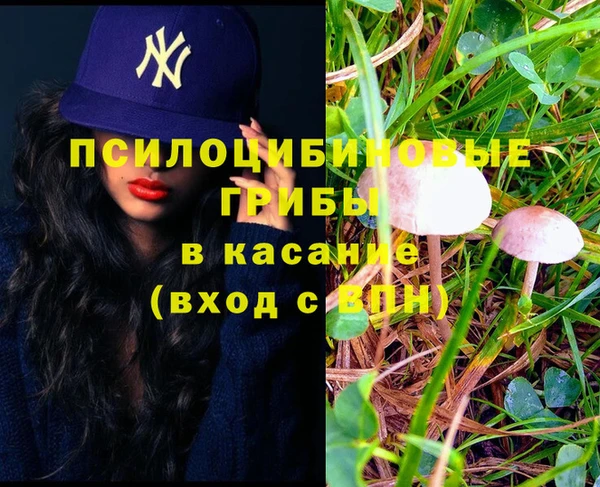 спайс Арсеньев